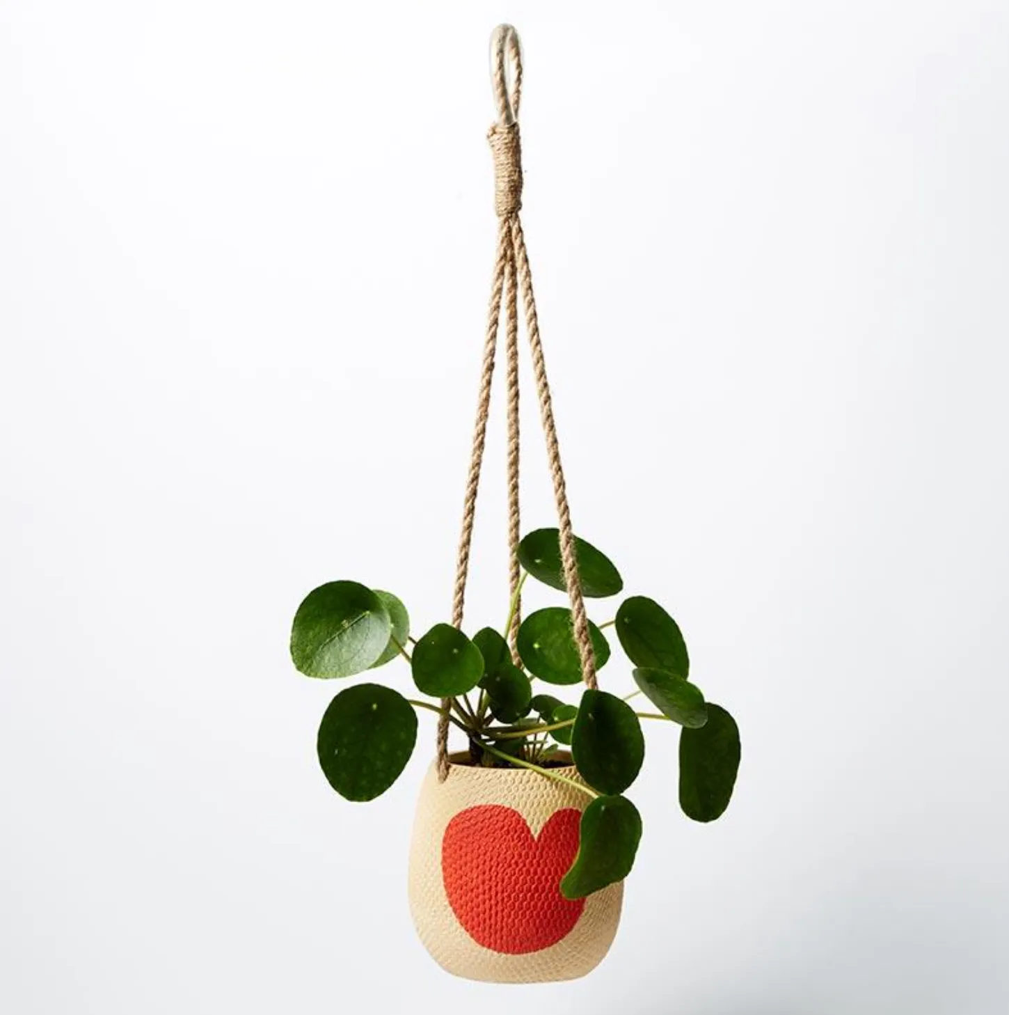 Hanging Heart Pot (Multiple Colours)