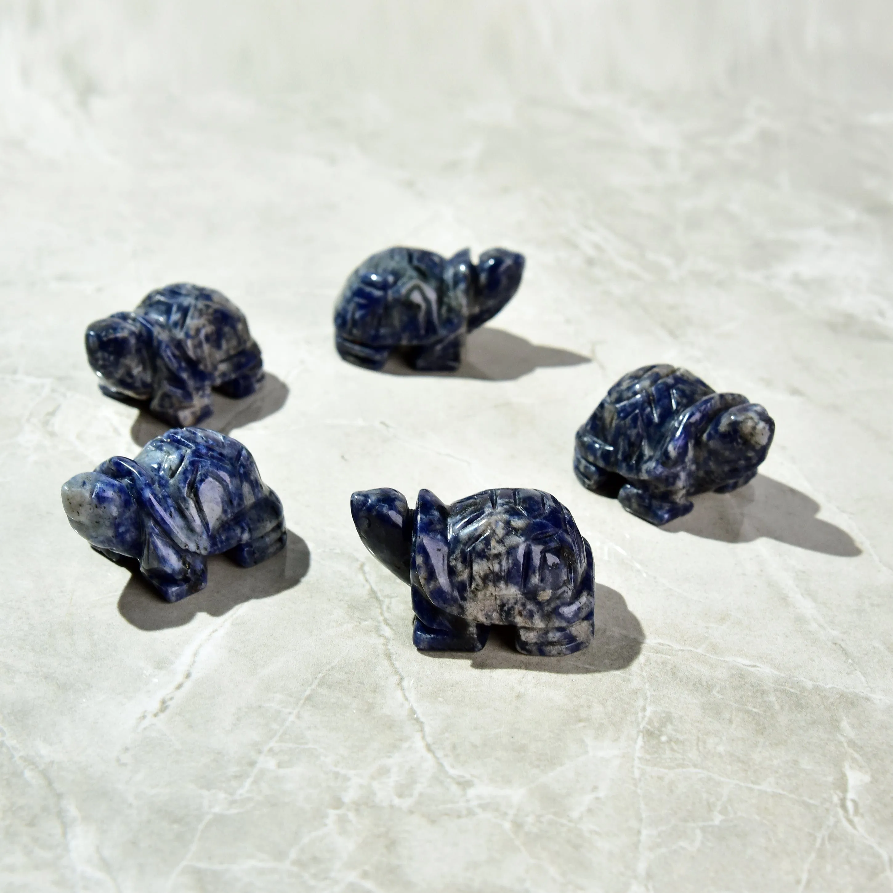 Sodalite Turtle 2'' Natural Gemstone Carving