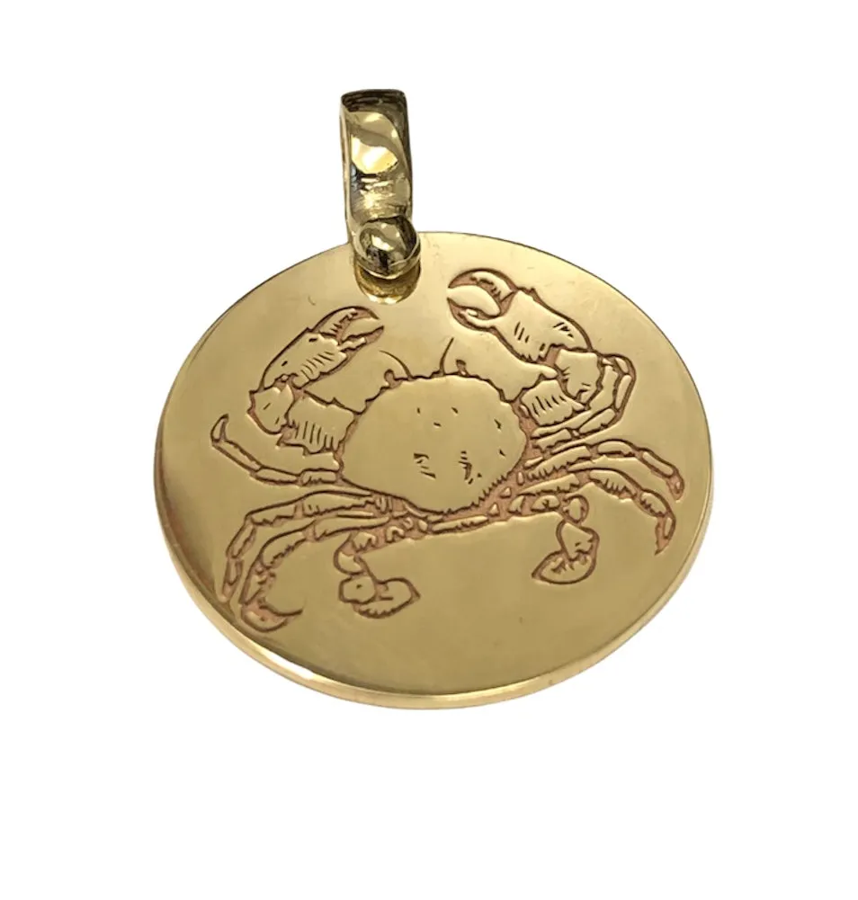 Zodiac sign pendant P287